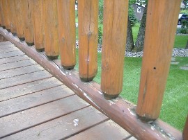 pine railings